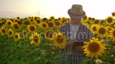 日落时分，一位戴着帽子的年轻<strong>农民用</strong>平板<strong>电脑</strong>触摸田野里的向日葵，并收集作物数据